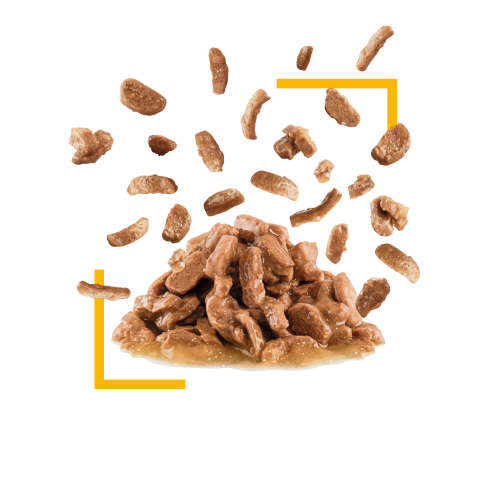 Royal Canin CAT (FHN) Sensory [Taste] Gravy 貓感系列 貓感系列 鮮味營養主食濕糧(肉汁) (3034100) 85g X12原盒 (原裝行貨)